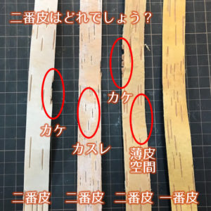 フィンランド産白樺樹皮ベルト(二番皮)